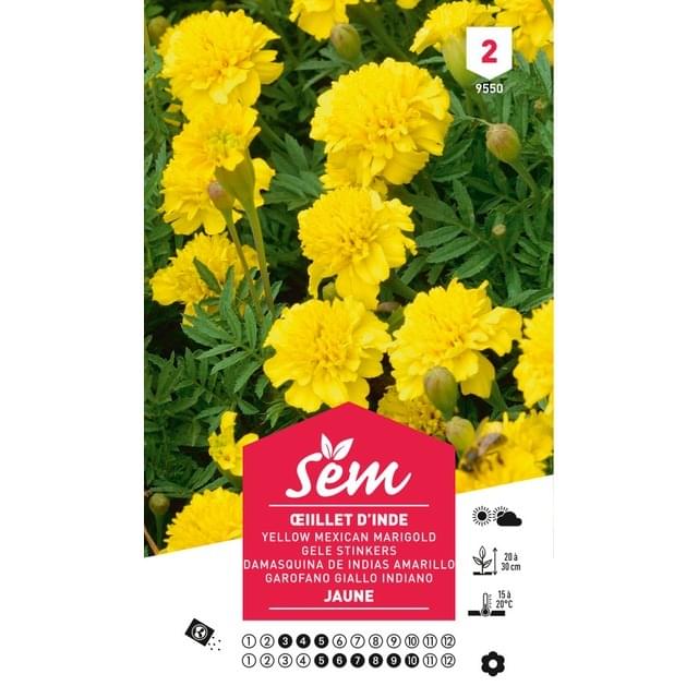 Oeillet d'Inde jaune (sachet)