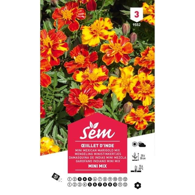 Oeillet d'Inde mini mix (sachet)