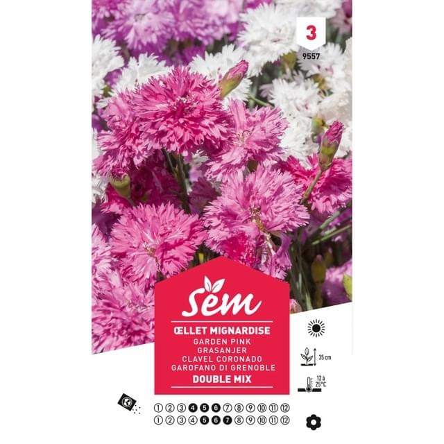 Oeillet Mignardise double varié (sachet)