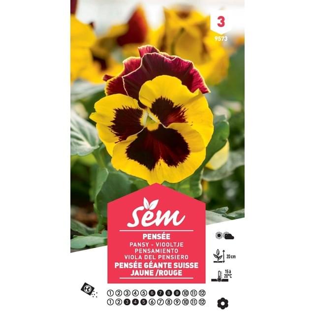 Pensée géante de Suisse jaune et rouge (sachet)