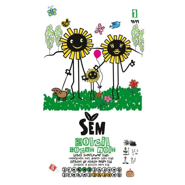 Soleil / Tournesol à coeur noir gamme kids (sachet)