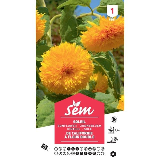 Soleil / Tournesol géant de Californie à fleurs doubles (sachet)