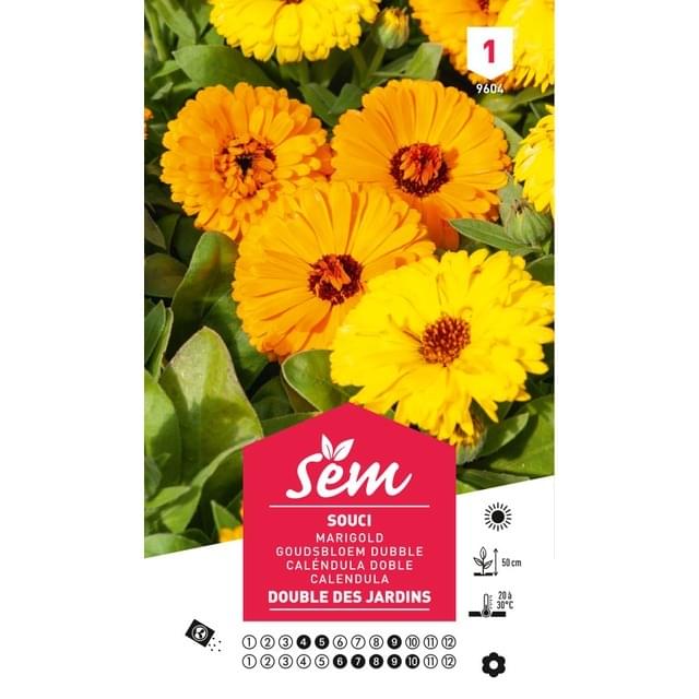 Souci double des jardins (sachet)