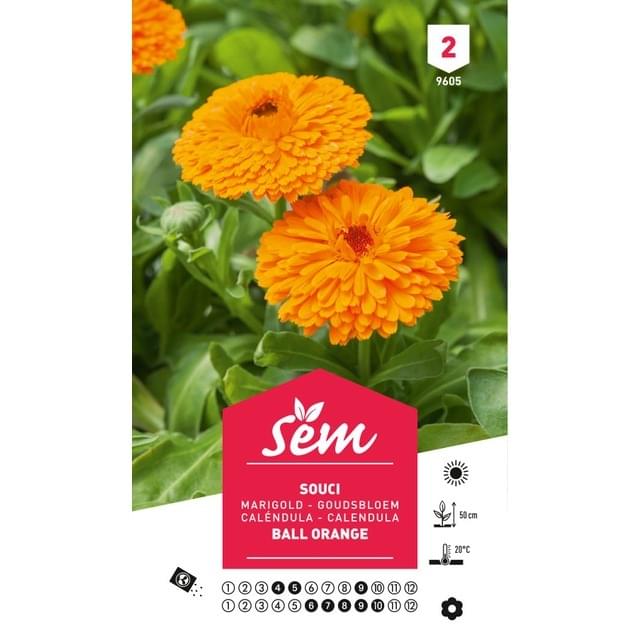 Souci orange (sachet)