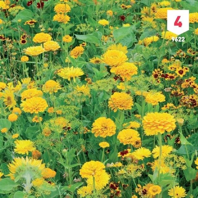 Mélange bouquet de fleuristes jaune XXL