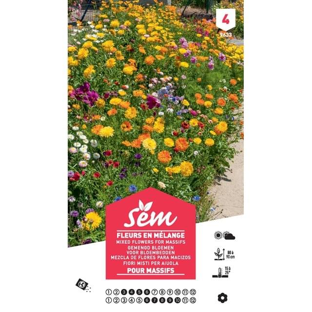 Fleurs en mélange pour massifs XXL (sachet)