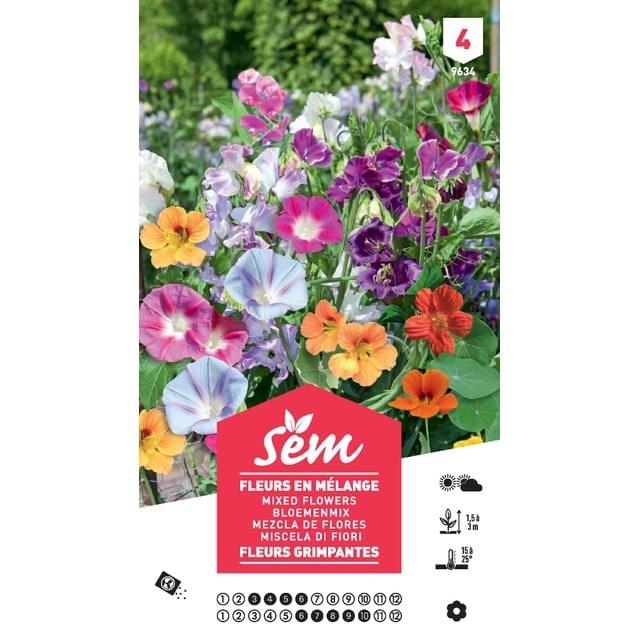 Fleurs grimpantes en mélange XXL (sachet)