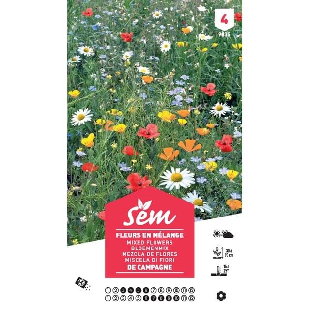 Fleurs de campagne en mélange XXL (sachet)