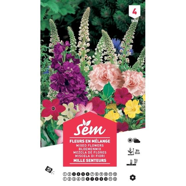 Fleurs mille senteurs en mélange XXL (sachet)
