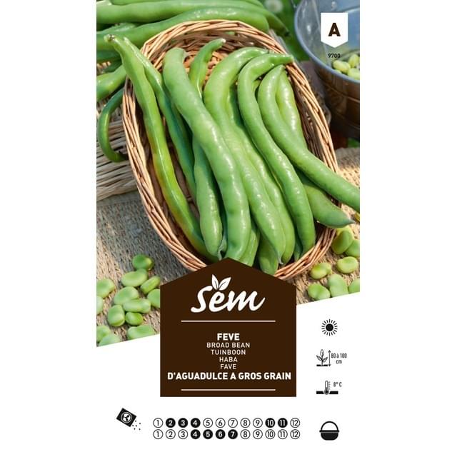 Fève Aguadulce à gros grain (sachet)