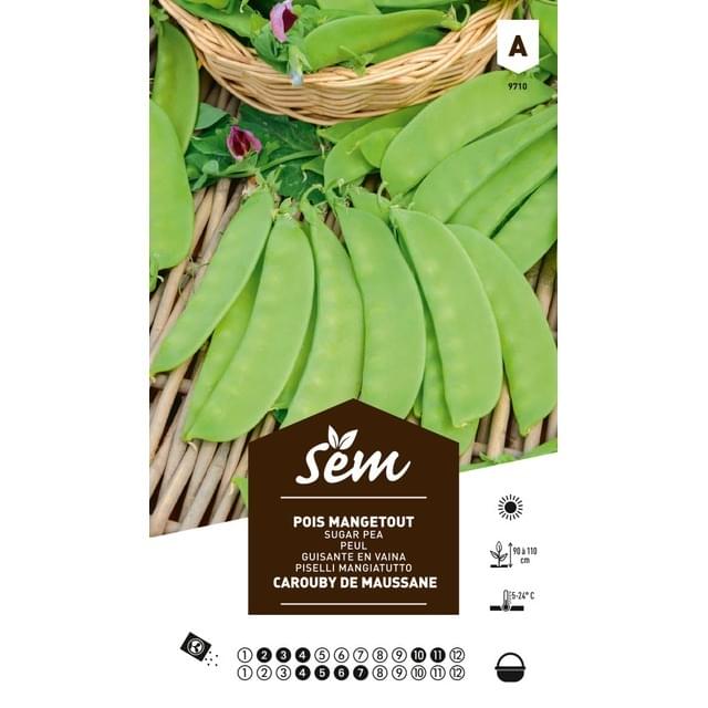 Pois mangetout Carouby (sachet)