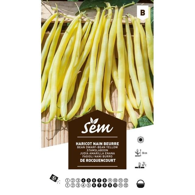 Haricot nain beurre Rocquencourt (sachet)