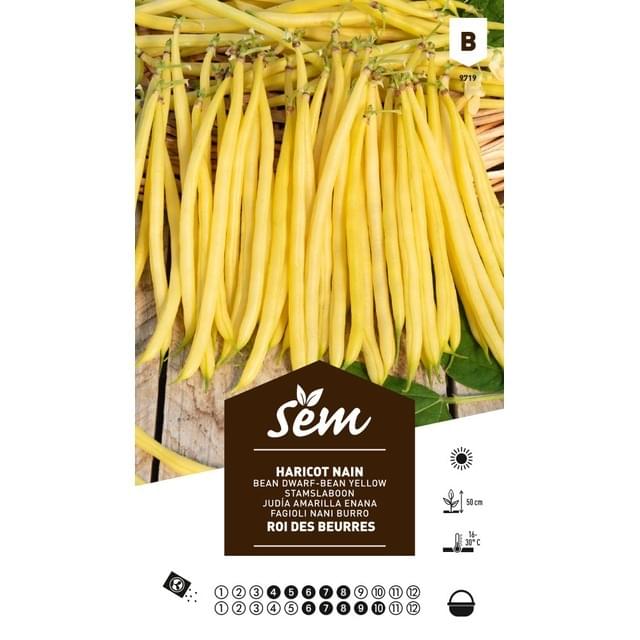 Haricot nain Roi des Beurres (sachet)