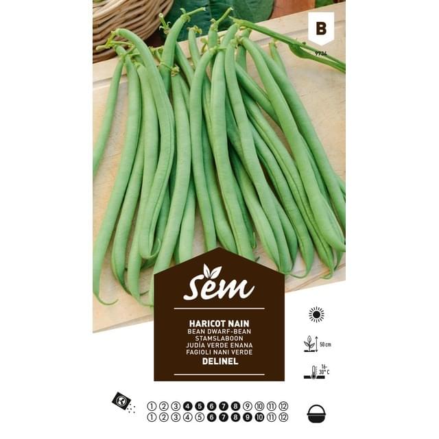 Haricot Delinel (sachet)