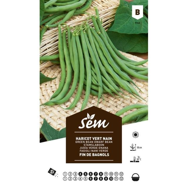 Haricot nain fin de Bagnols (sachet)