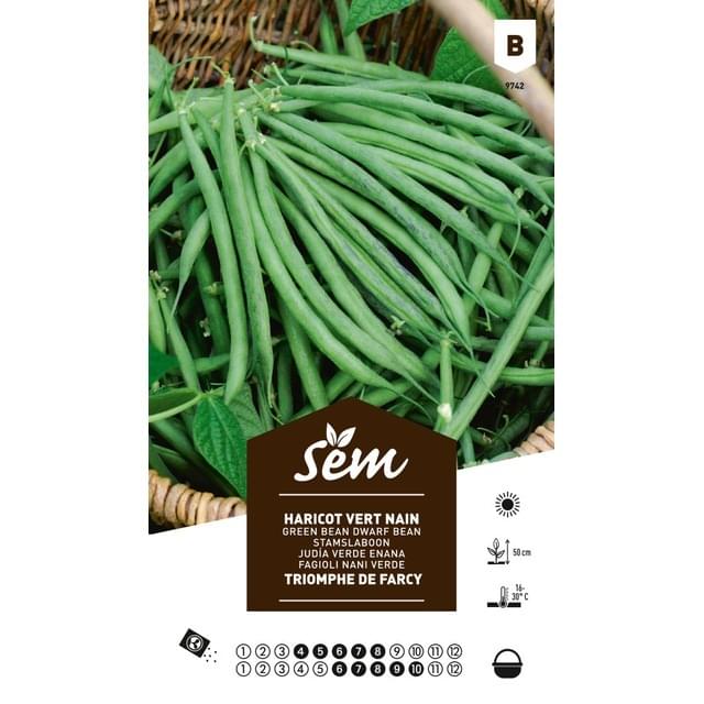 Haricot Triomphe de Farcy (sachet)