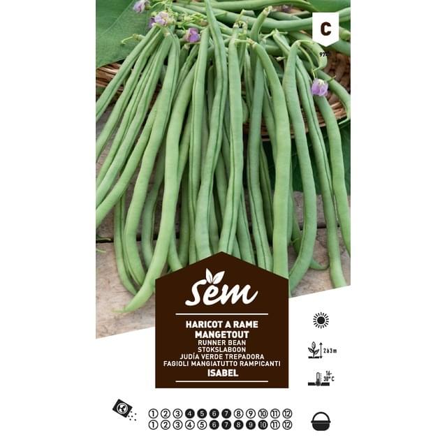 Haricot à rame mangetout Isabel (sachet)