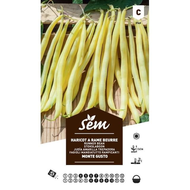 Haricot à rame beurre Monte Gusto (sachet)