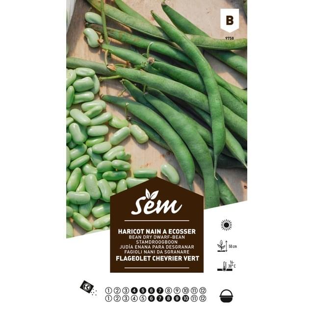 Haricot flageolet Chevrier vert (sachet)