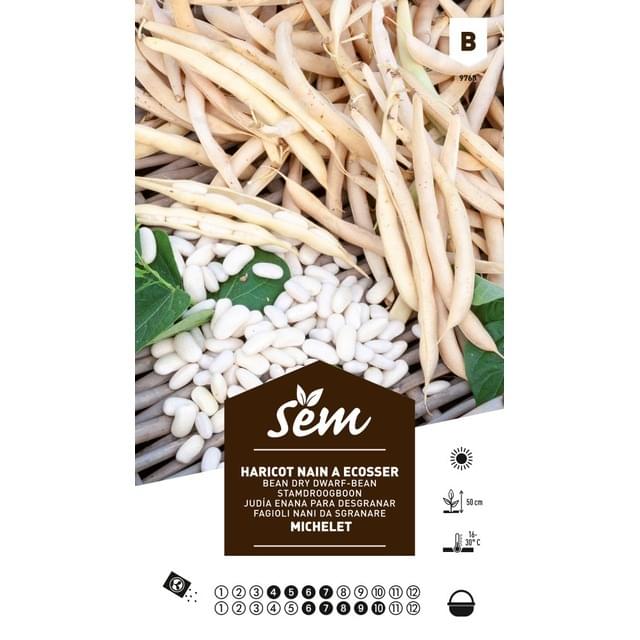 Haricot nain Michelet (sachet)