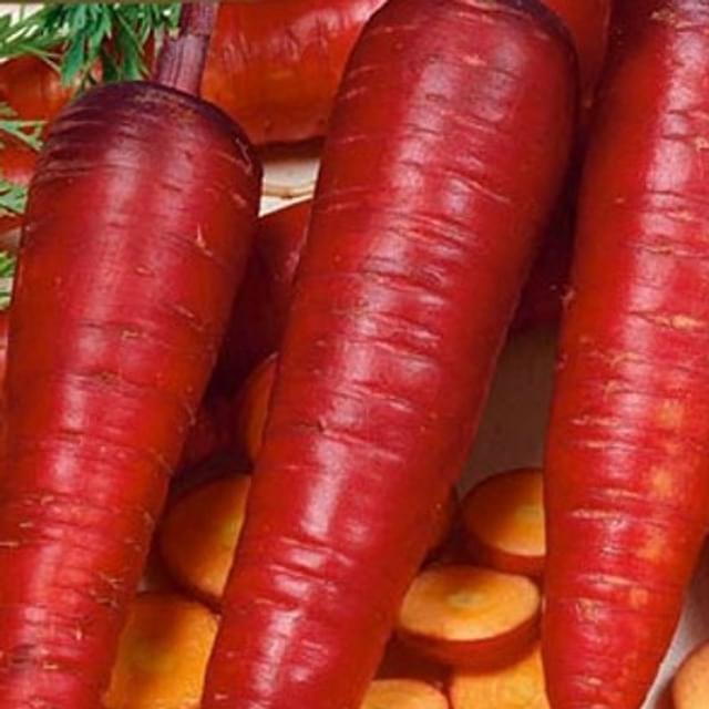 Carotte cosmic purple