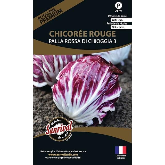 Chicorée rouge Palla Rossa Di chiogga (sachet)