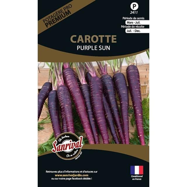 Carotte Purple Sun (sachet)