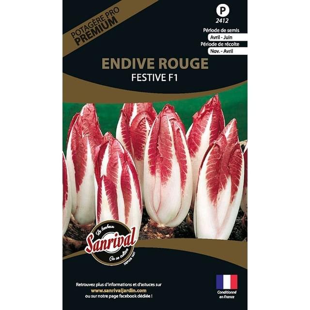 Endive rouge festive F1 (sachet)