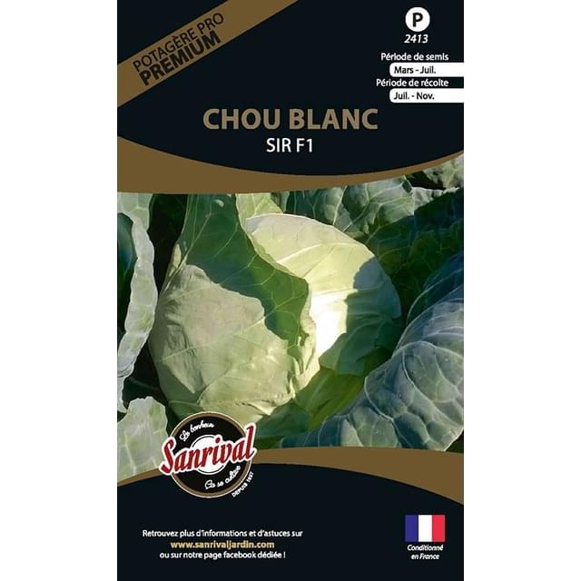 Chou blanc Sir F1 (sachet)