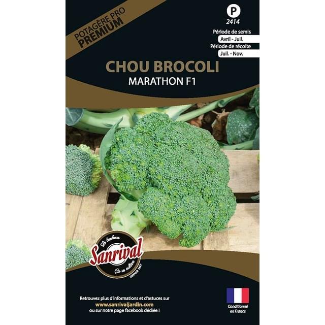 Chou brocoli Marathon HF1 (sachet)
