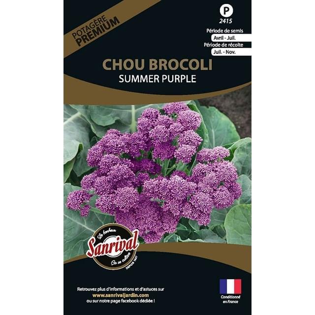 Chou brocoli Summer Purple (sachet)