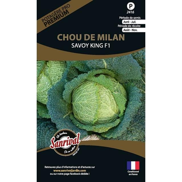 Chou de Milan Savoy King HF1 (sachet)