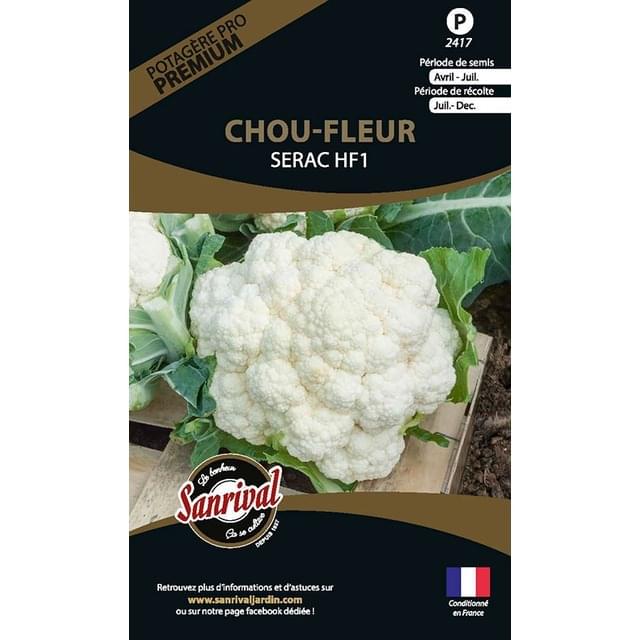 Chou-fleur SERAC HF1 (sachet)