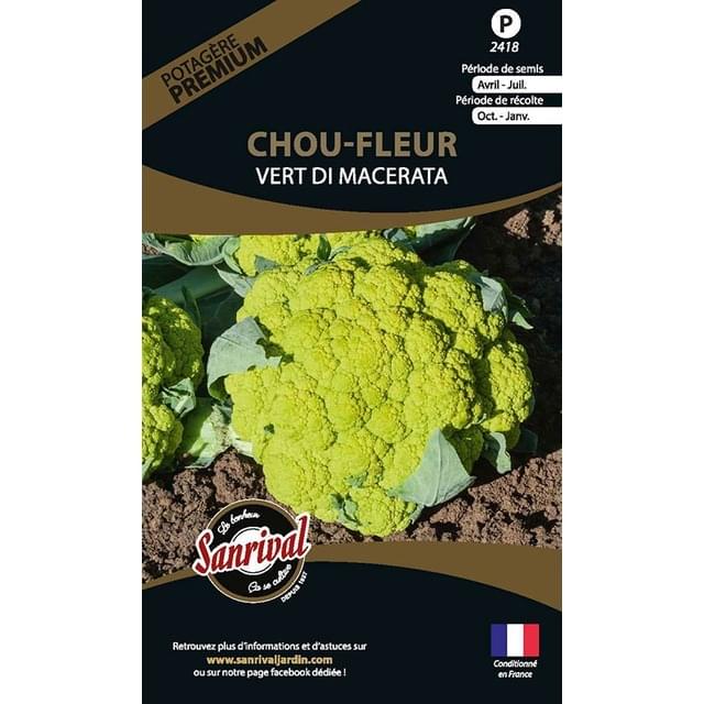 Chou-fleur vert Di Macerata (sachet)