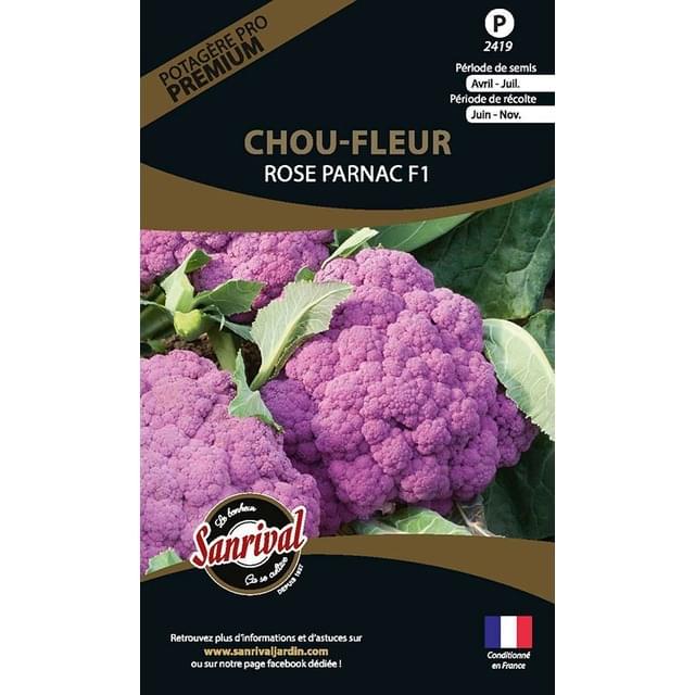 Chou-fleur Rose Parmac HF1 (sachet)
