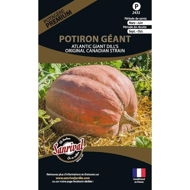Potiron géant Atlantic Giant Dill's (sachet)