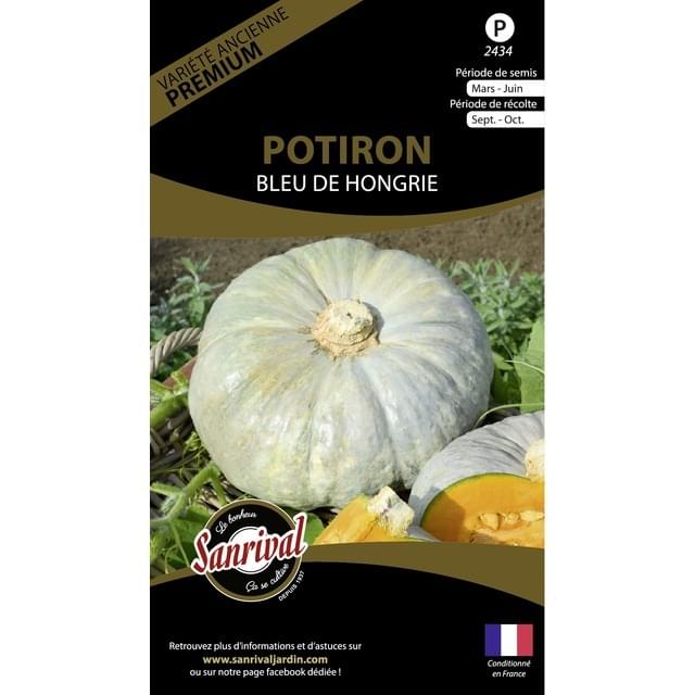 Potiron Bleu de Hongrie (sachet)