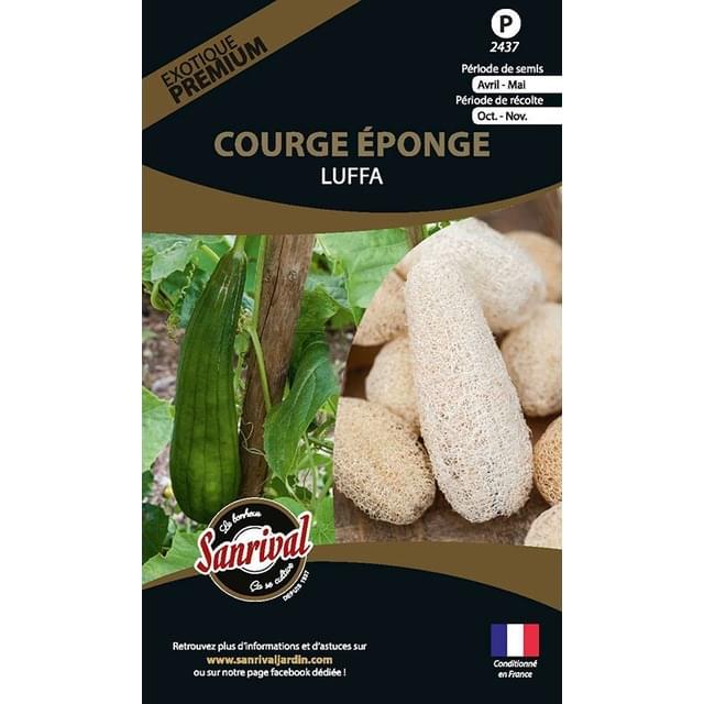 Courge éponge Luffa (sachet)