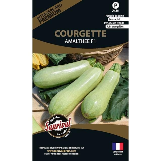 Courgette Amalthee F1 (sachet)