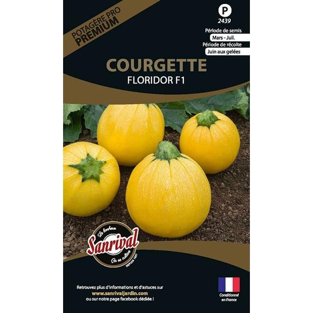 Courgette Floridor HF1 (sachet)