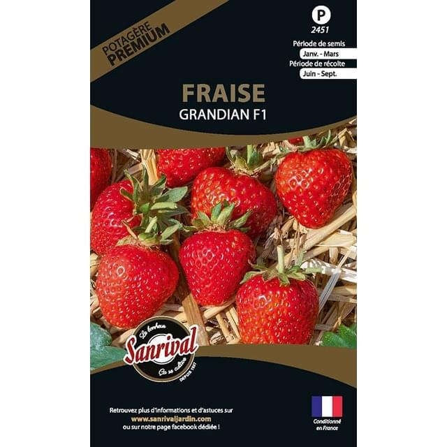 Fraise Grandian F1 (sachet)