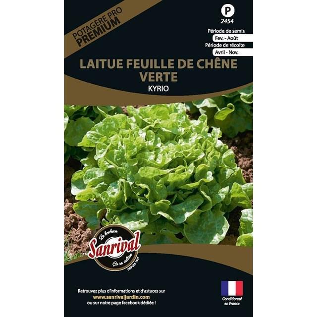 Laitue feuille de chêne verte Kyrio (sachet)