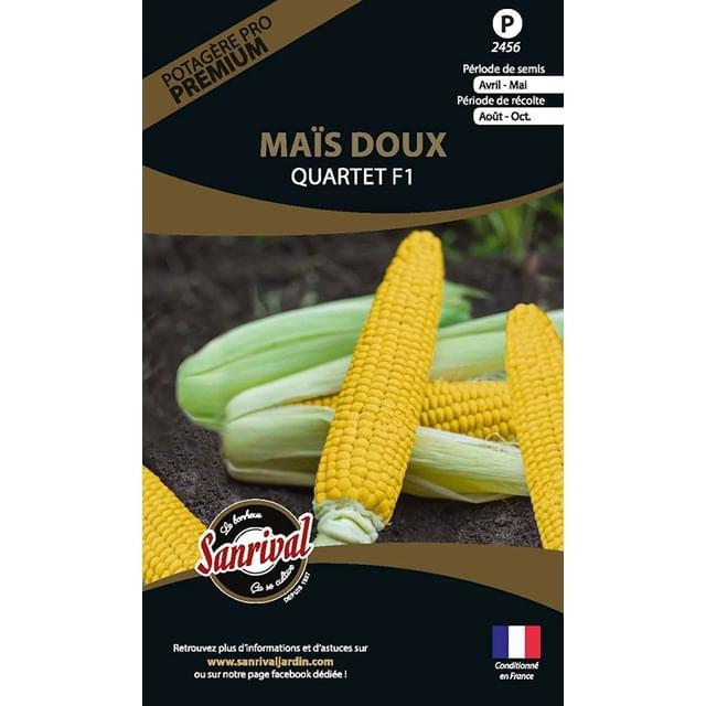 Maïs doux Gucio HF1 (sachet)