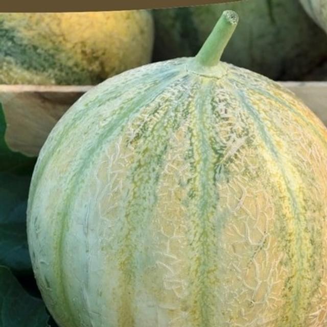 Melon Jenga F1