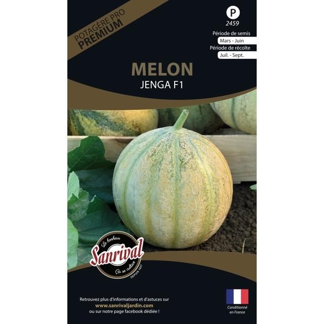 Melon Jenga F1 (sachet)