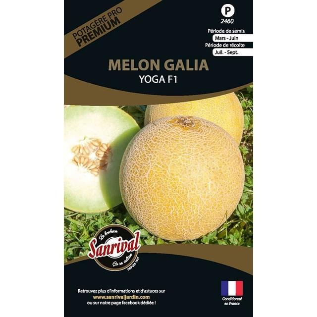 Melon galia Garanto F1 (sachet)