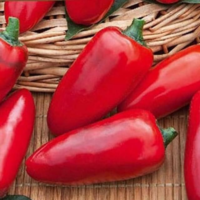 Piment Jalapeno
