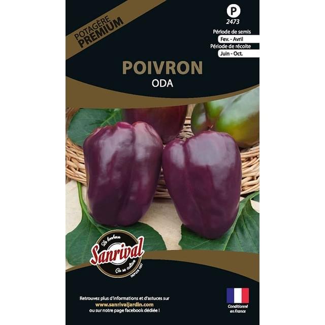 Poivron Oda (sachet)
