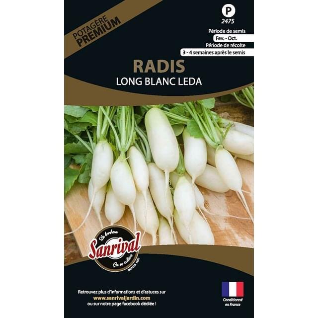 Radis Long blanc Leda (sachet)