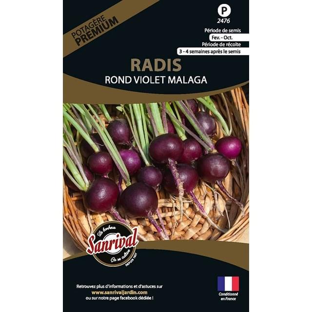 Radis Rond violet Malaga (sachet)